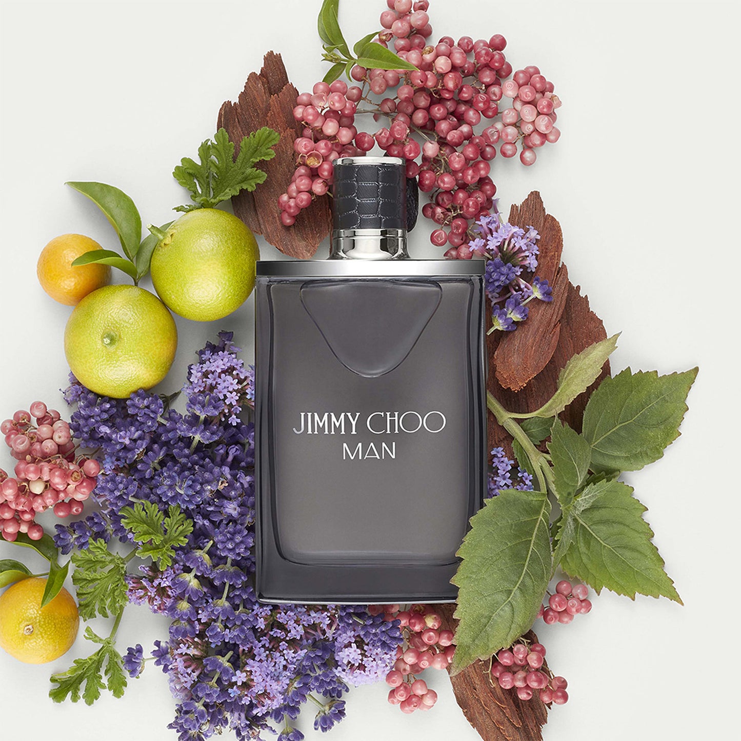 Jimmy Choo Man Eau de Toilette Spray 100ml