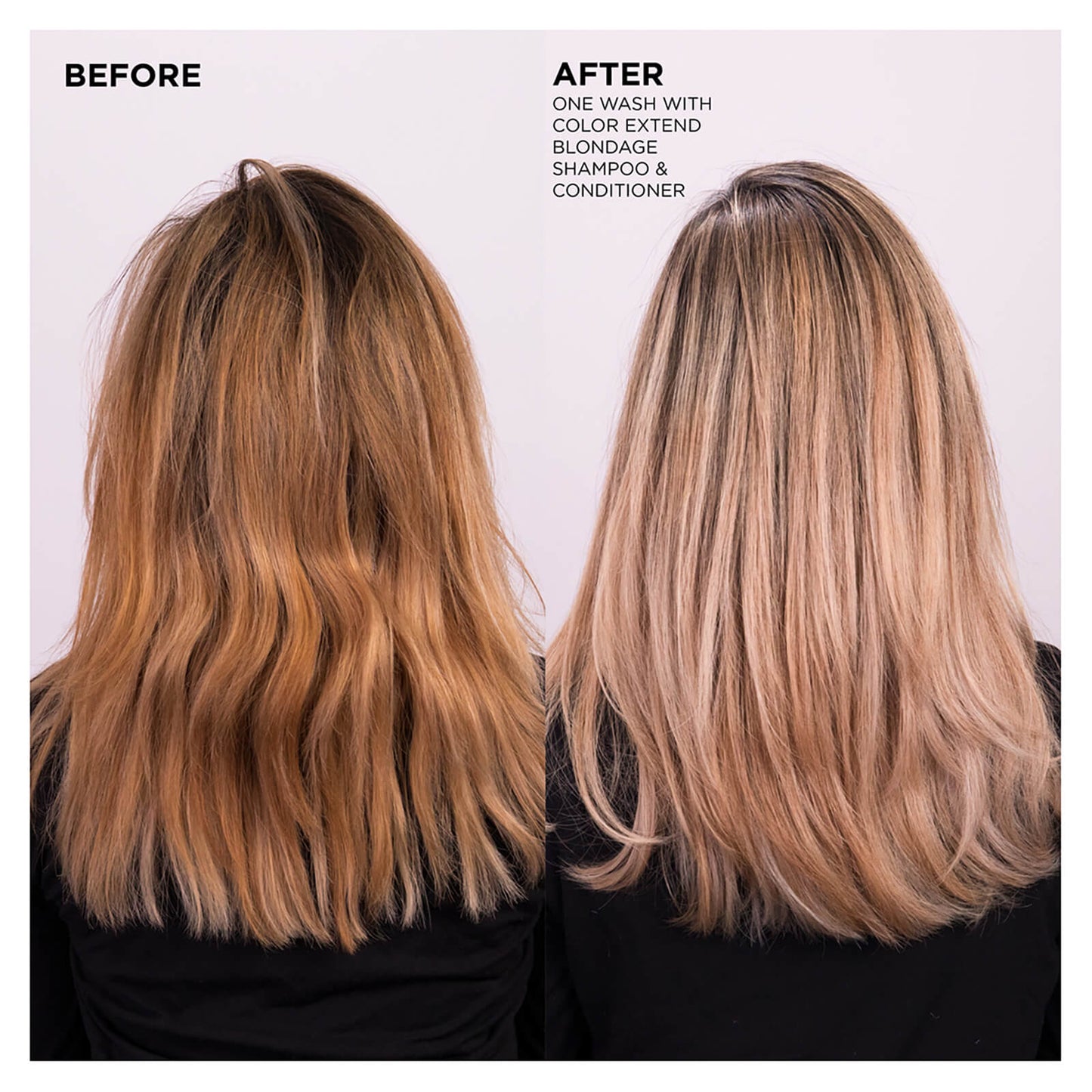 Redken Color Extend Blondage Shampoo 10.1oz