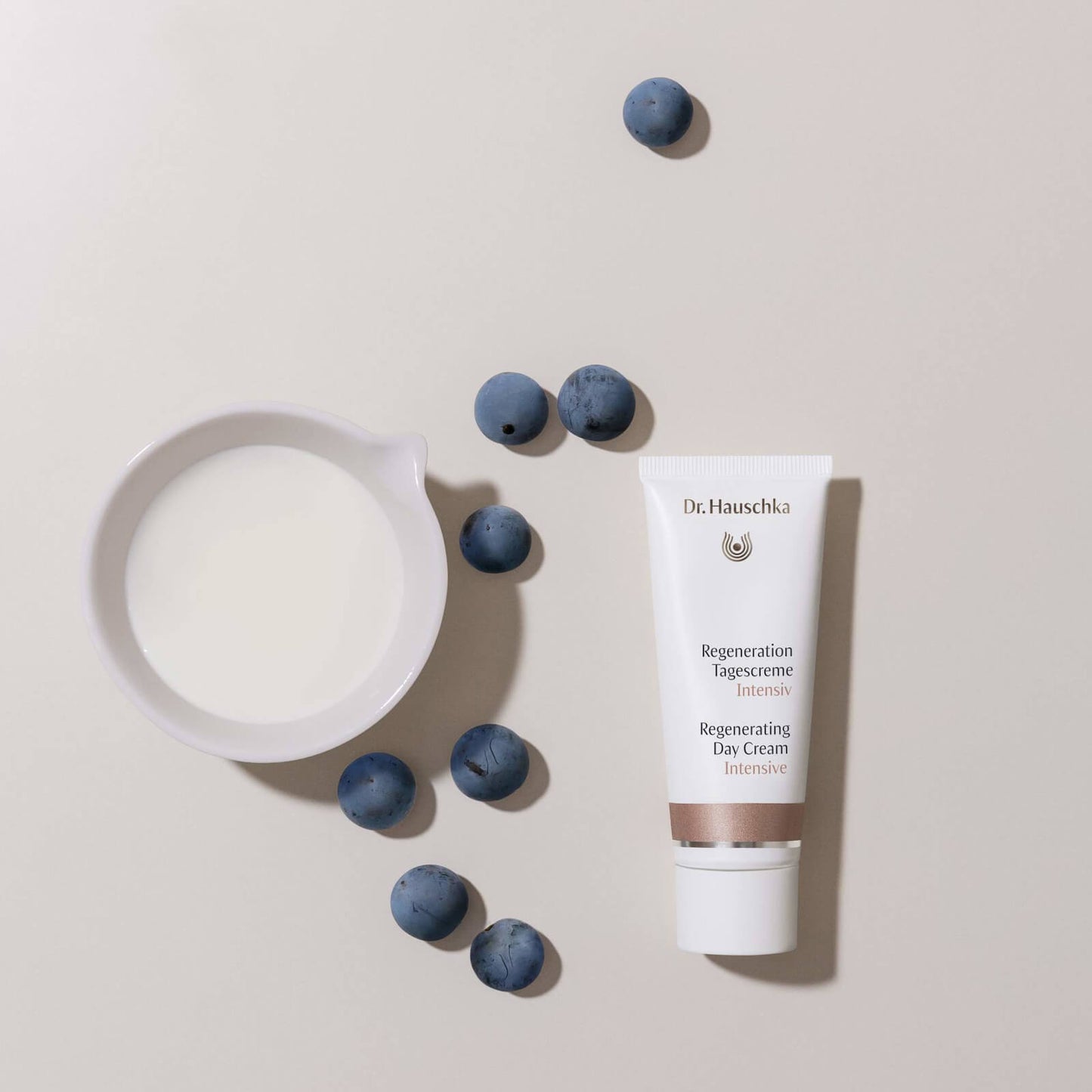 Dr. Hauschka Regenerating Intensive Day Cream 40ml