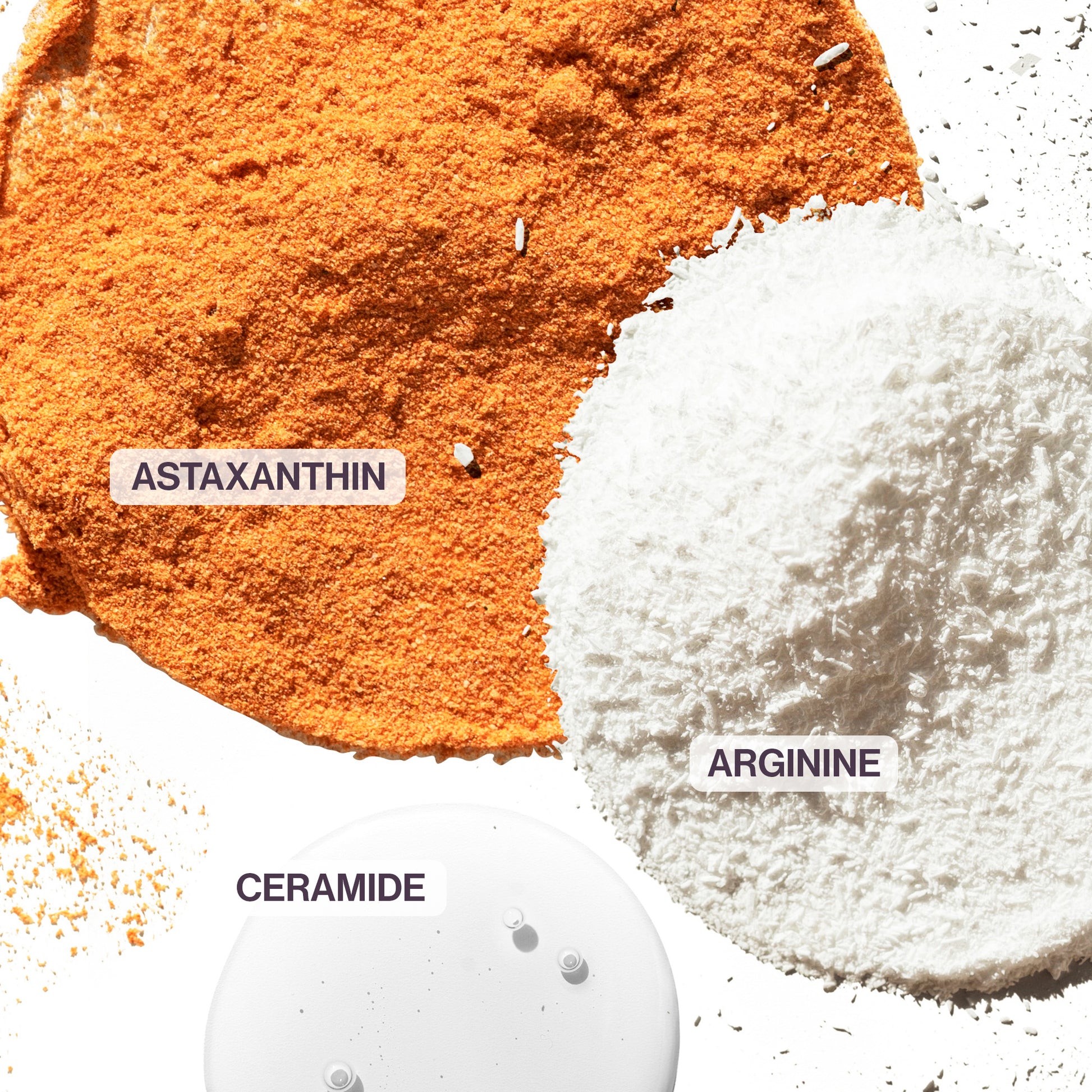 Pureology Strength Cure Blonde Shampoo 1000ml