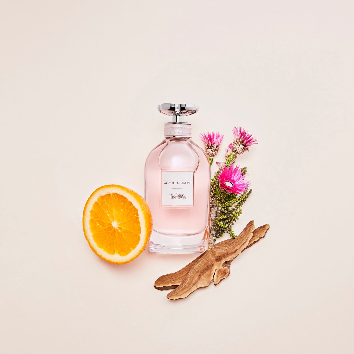 Coach Women's Dreams Eau de Parfum 90ml