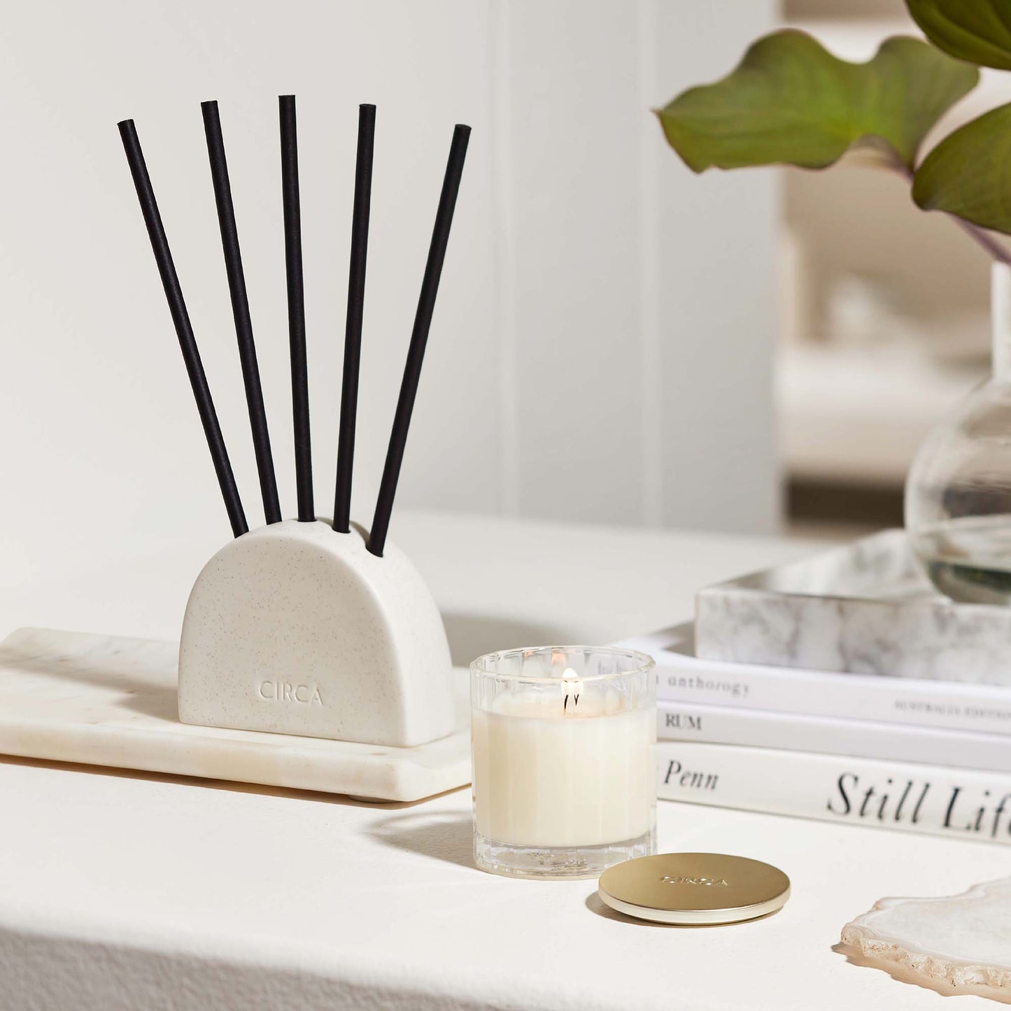 CIRCA Mango & Papaya Replacement Scent Stems™
