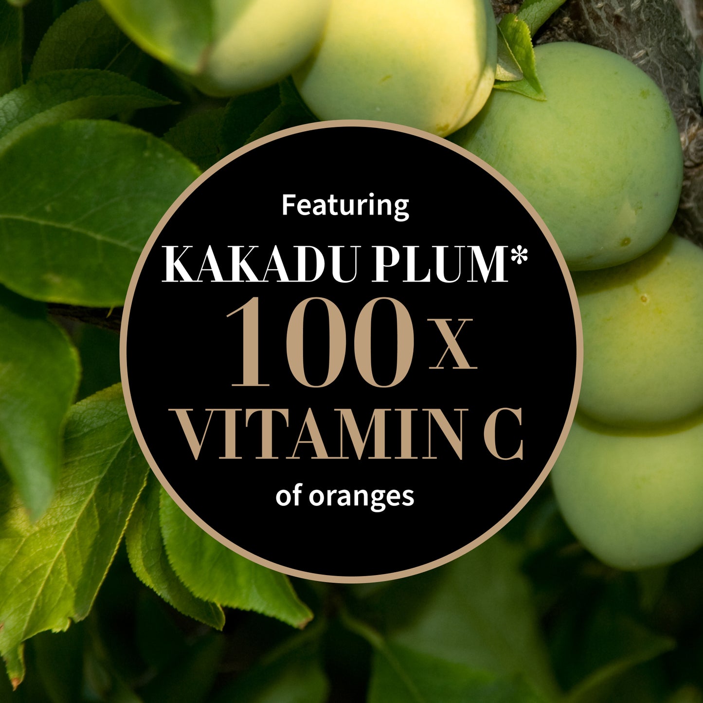 Antipodes Glow Vitamin C Serum MINI 10ml