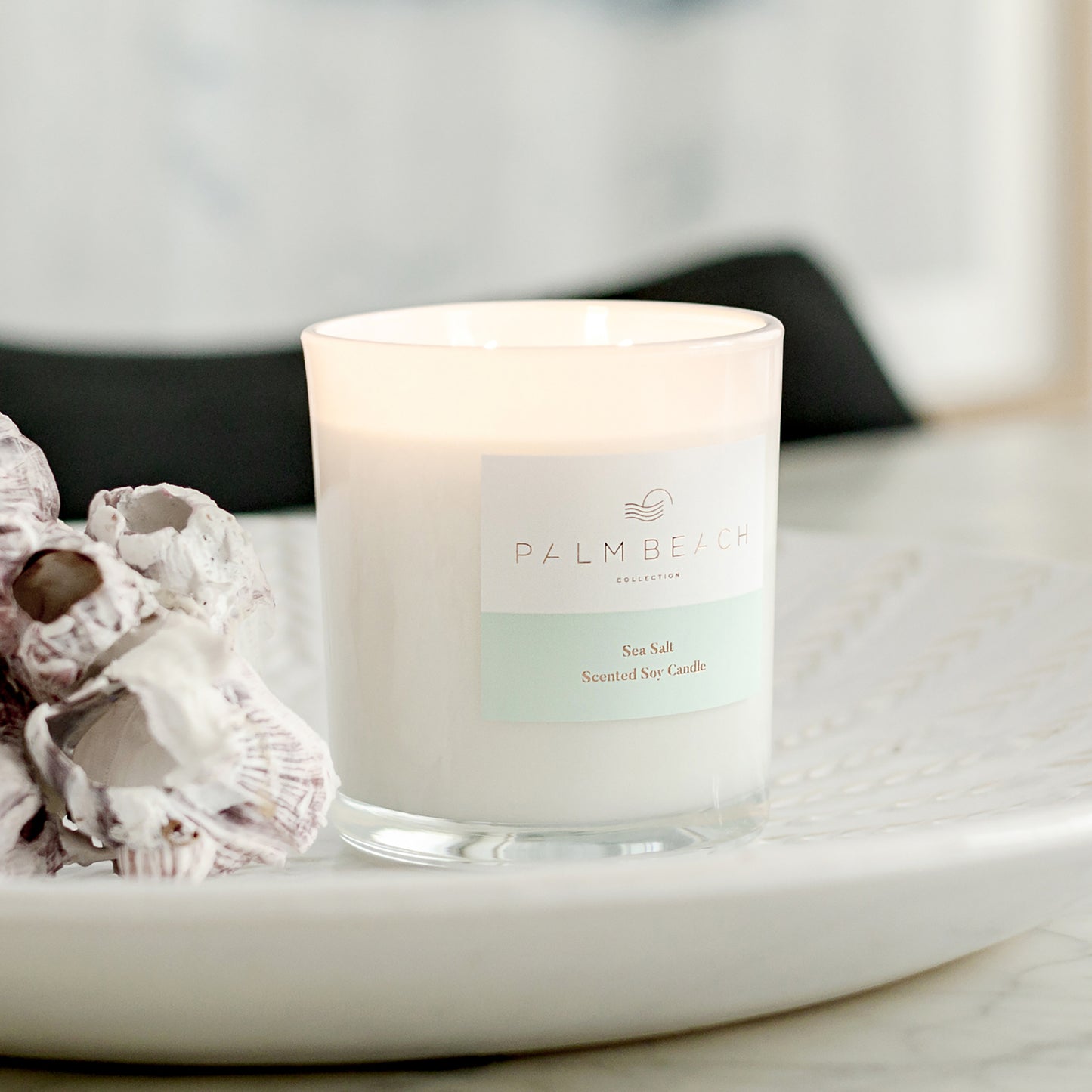 Palm Beach Collection Sea Salt 420g Standard Candle