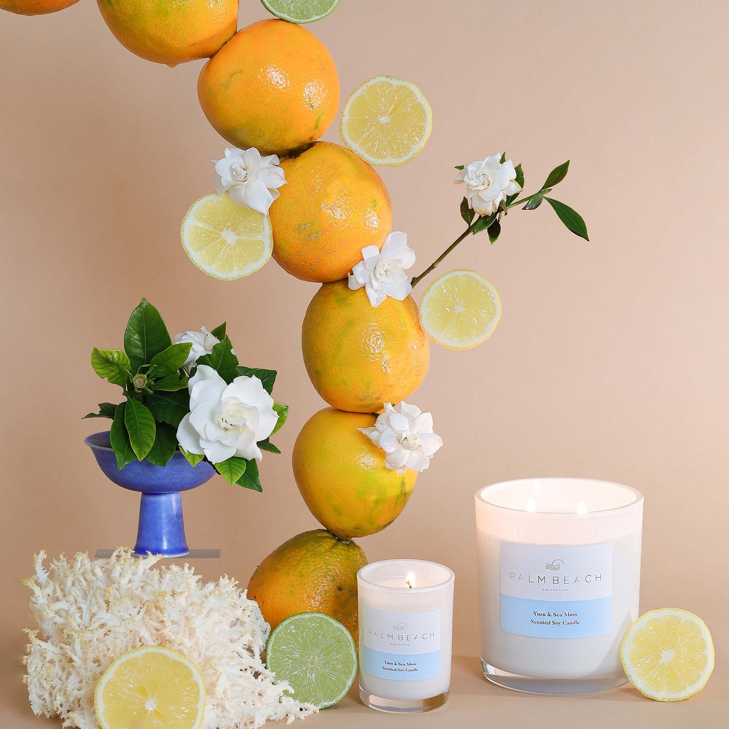 Palm Beach Collection Yuzu & Sea Moss Mini Candle 90g