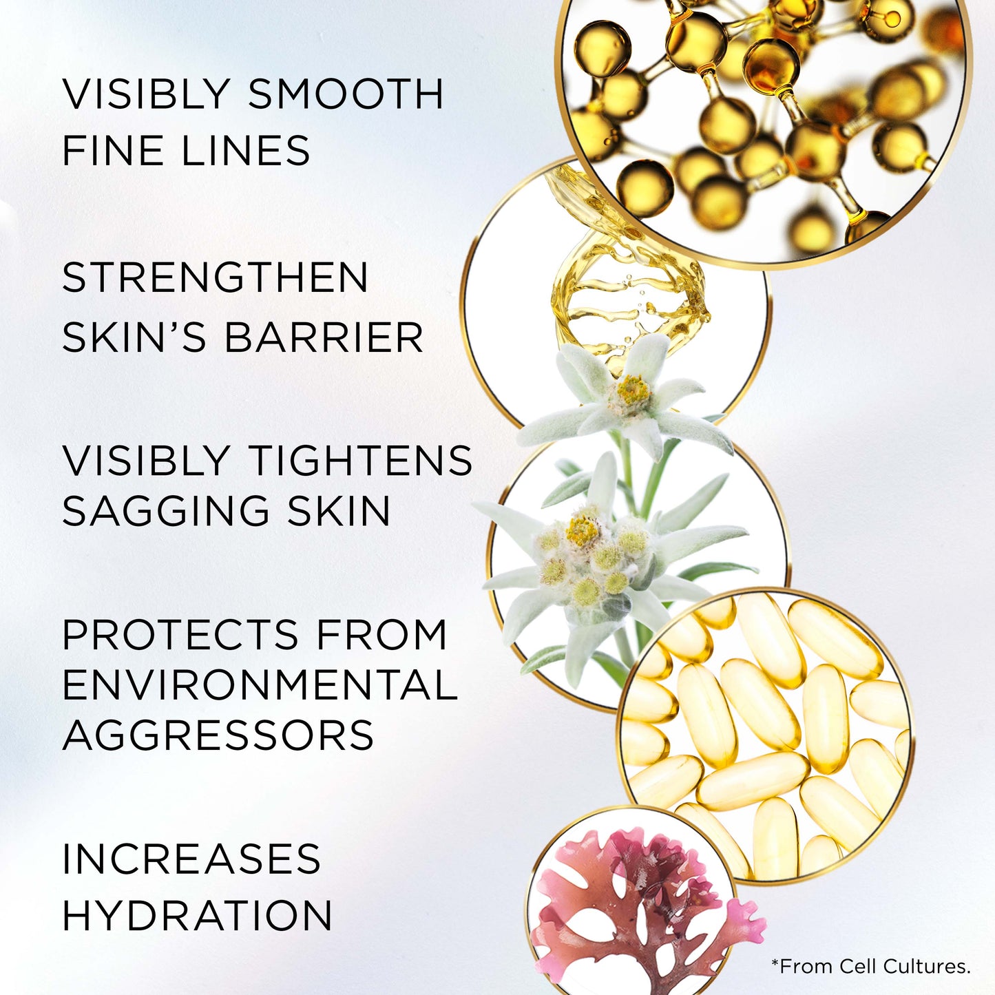 Elizabeth Arden Advanced Ceramide Lift & Firm Night Cream 50ml