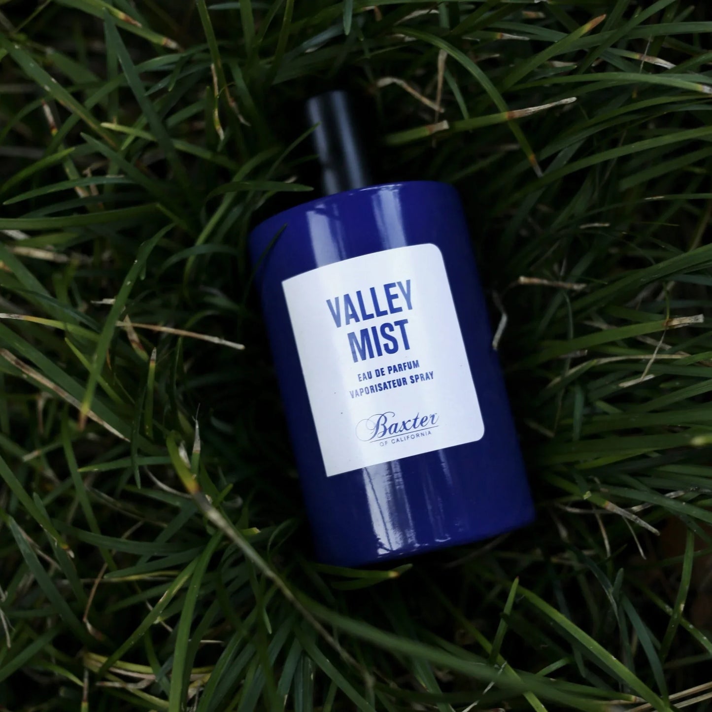 Baxter Of California Valley Mist Eau De Parfum 100ml