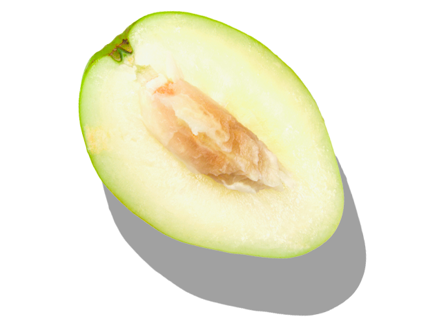 milk_shake No Frizz Allowed Perfecting Shampoo 300ml