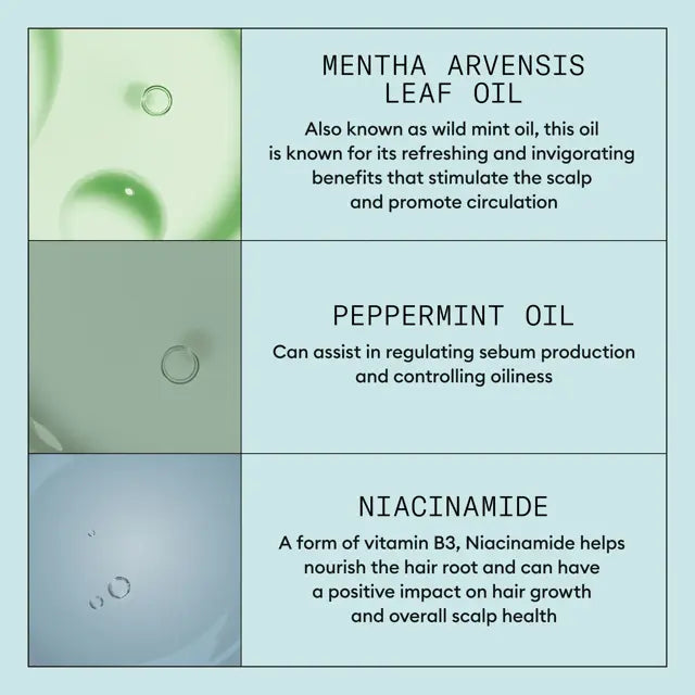 Nioxin Scalp Recovery System Kit