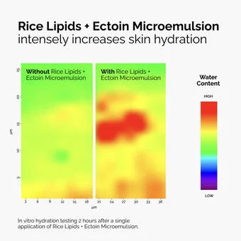 The Ordinary Rice Lipids + Ectoin Microemulsion 60ml