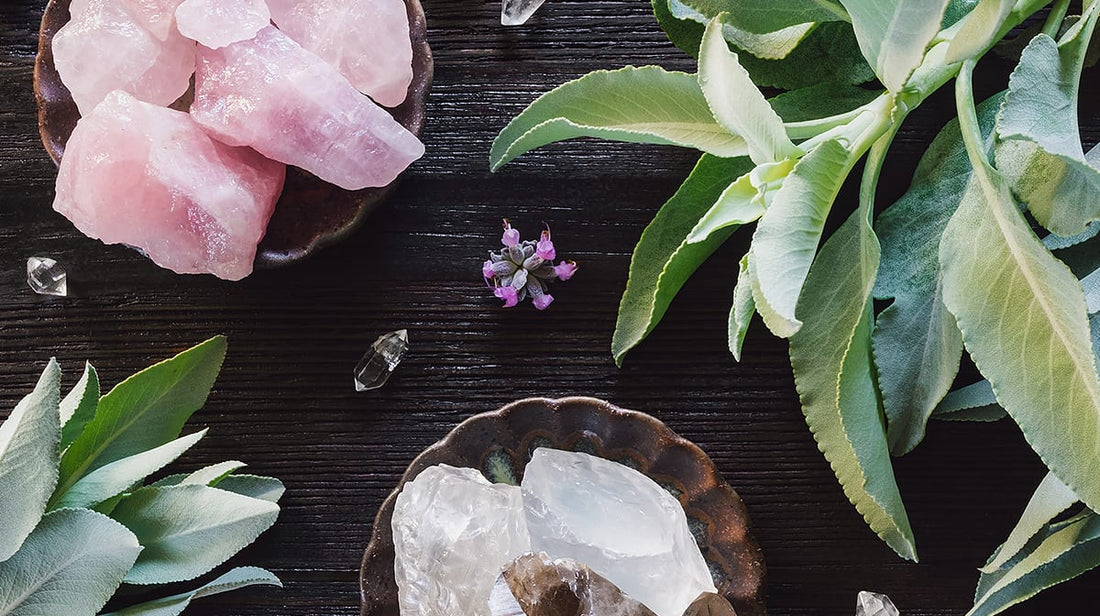Organic Beauty- Our Top Brand Picks