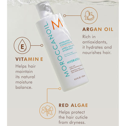 Moroccanoil Hydrating Conditioner 250ml