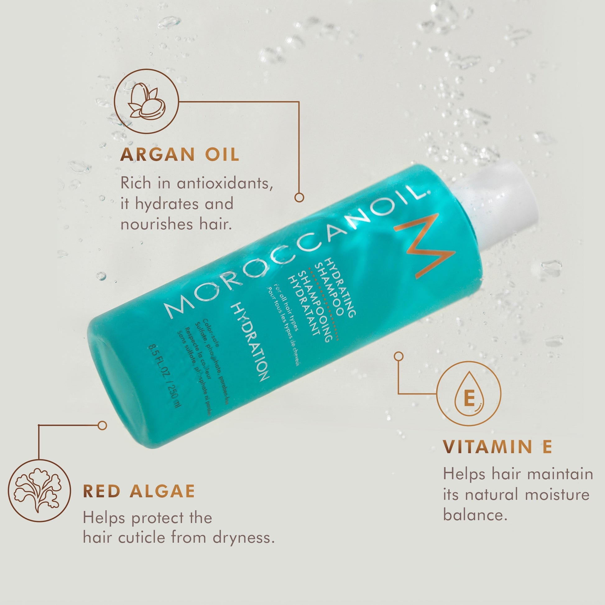 Moroccanoil Hydrating Shampoo and Conditioner Duo