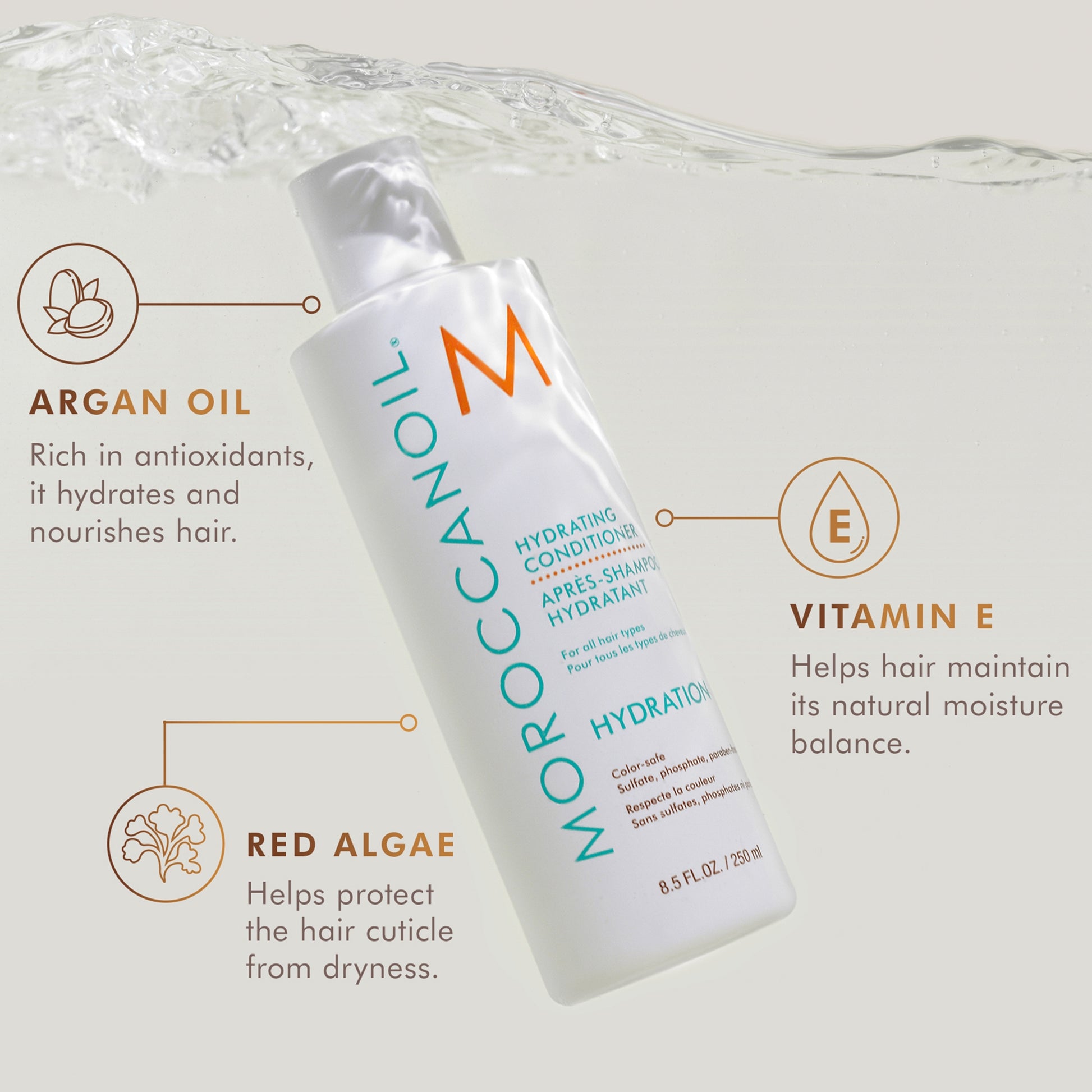 Moroccanoil Hydrating Shampoo and Conditioner Duo