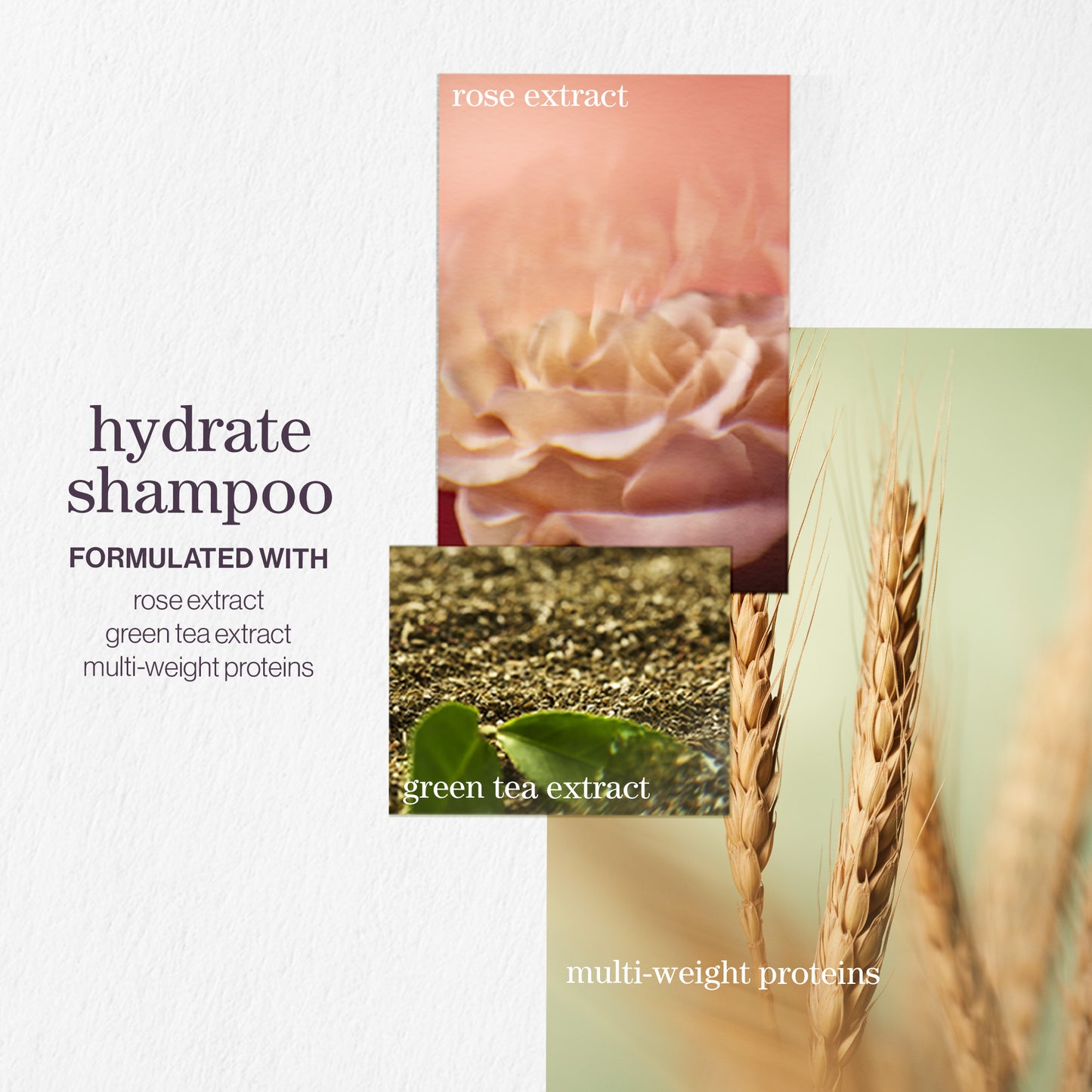 Pureology Hydrate Shampoo and Conditioner Moisturising Bundle for Dry Hair, Sulphate Free for a Gentle Cleanse