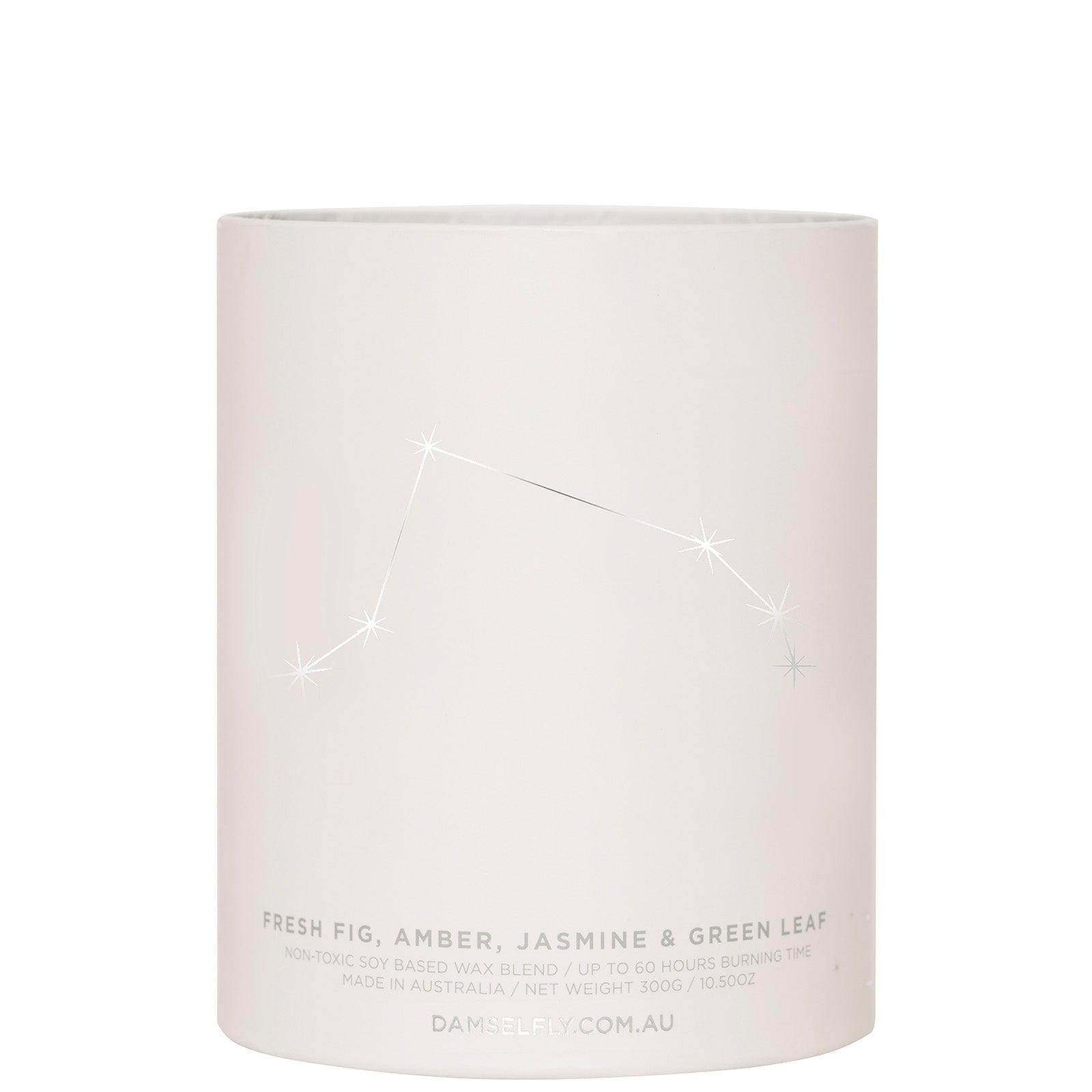 Damselfly Aquarius Scented Candle - 300g