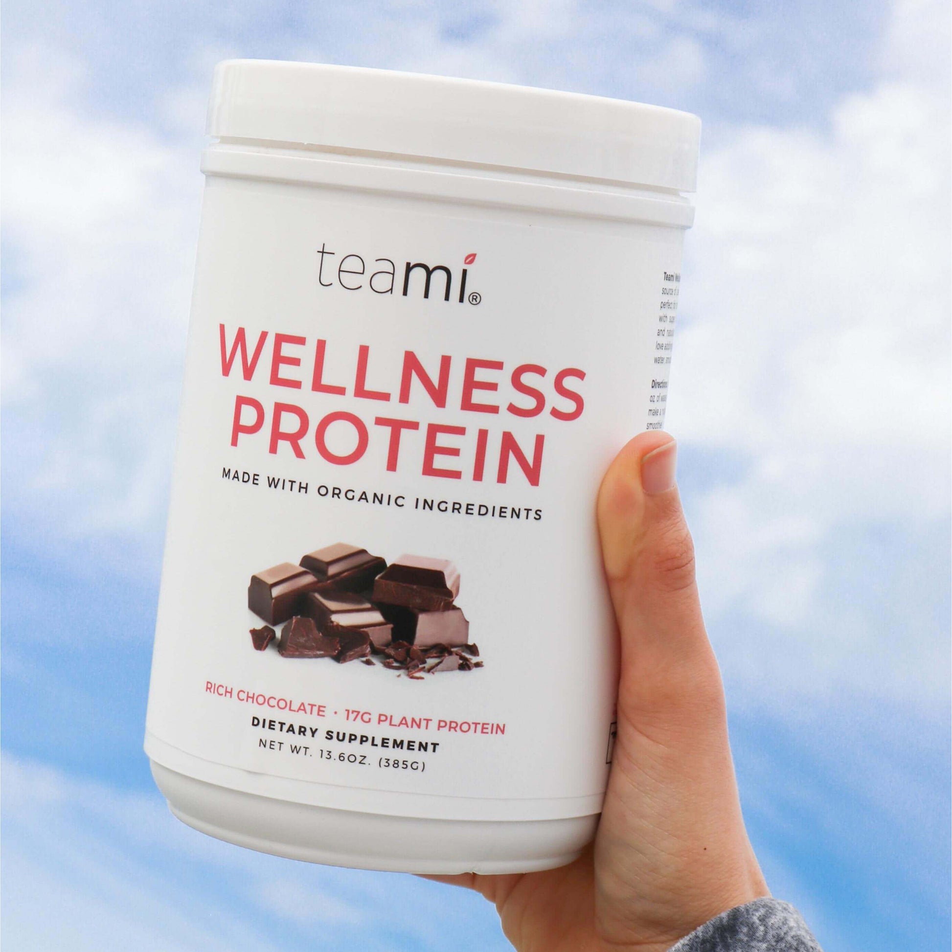 Teami Plant Based Wellness Protein - Rich Chocolate