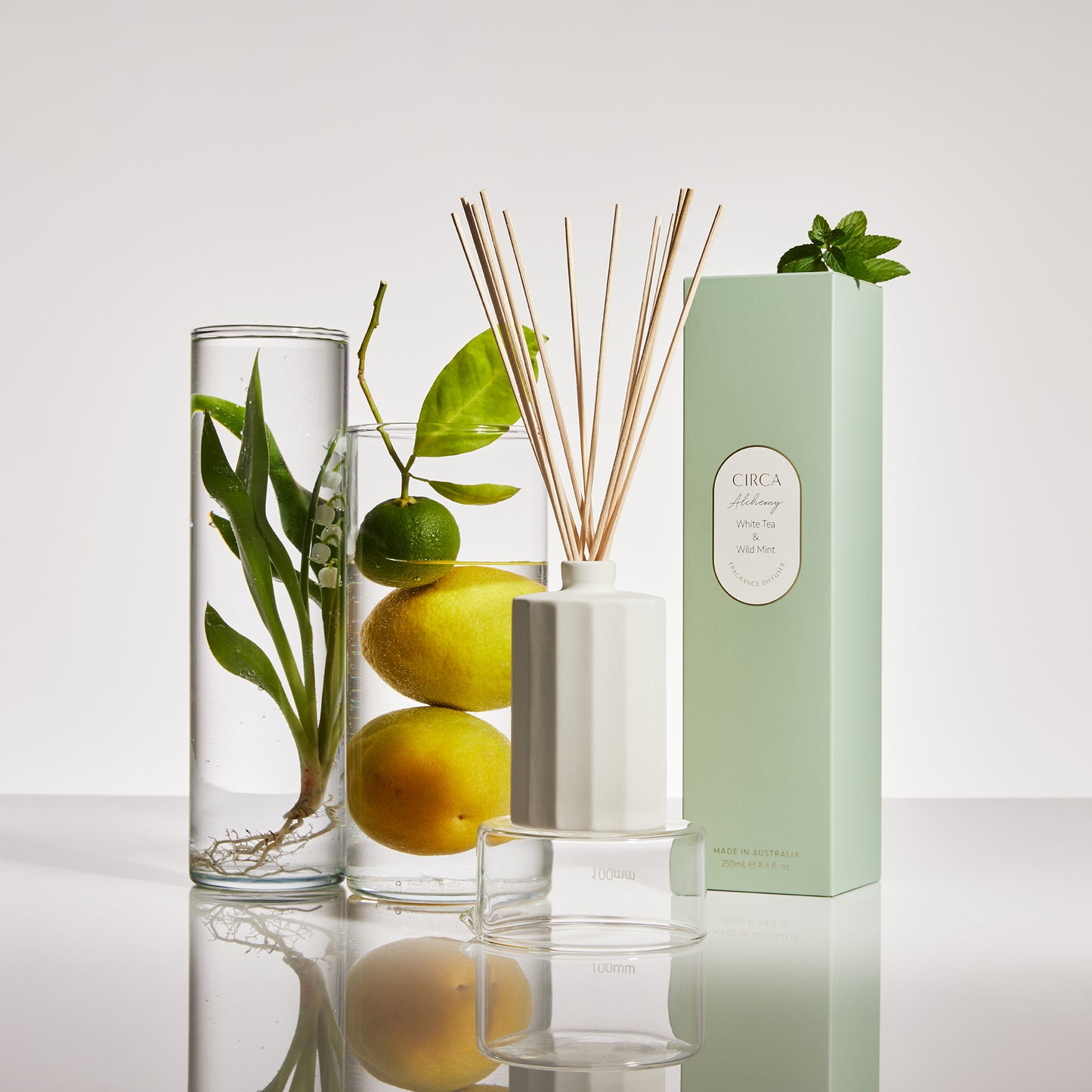 CIRCA Alchemy White Tea and Wild Mint Fragrance Diffuser 250ml