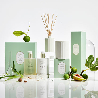 CIRCA Alchemy White Tea and Wild Mint Fragrance Diffuser 250ml