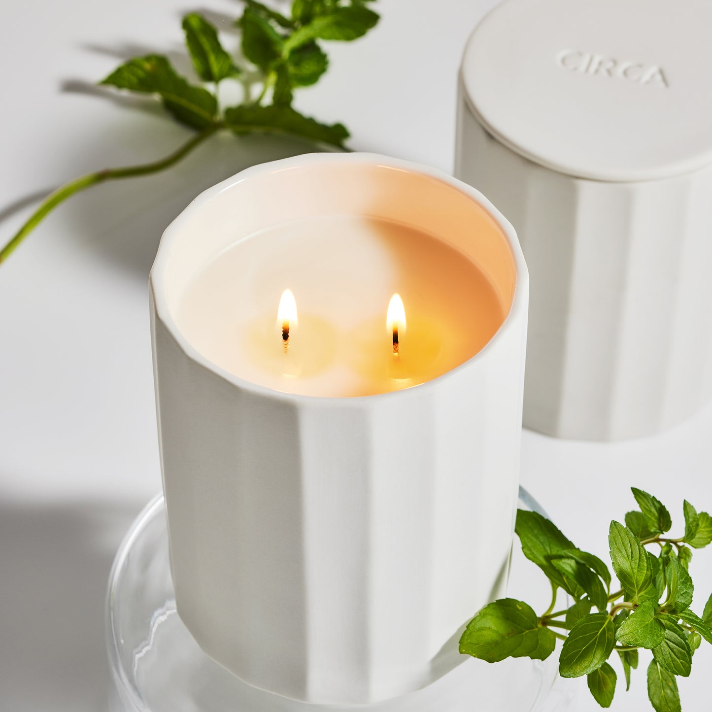 CIRCA Alchemy White Tea and Wild Mint Soy Candle 350g