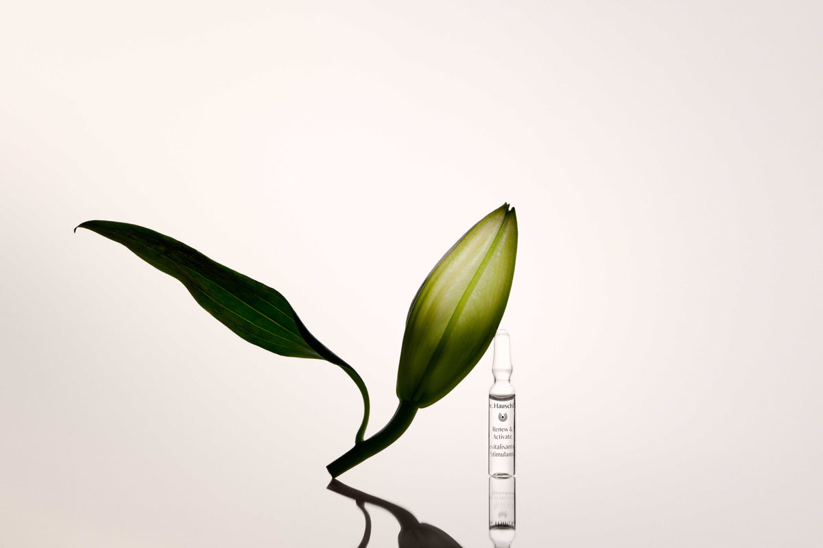 Dr. Hauschka Renew & Activate Ampoules 28 x 2ml