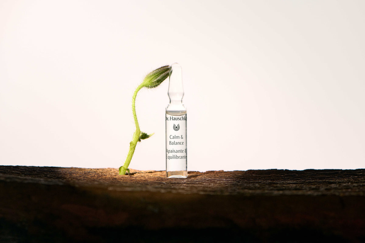 Dr. Hauschka Calm & Balance Ampoules 28 x 2ml