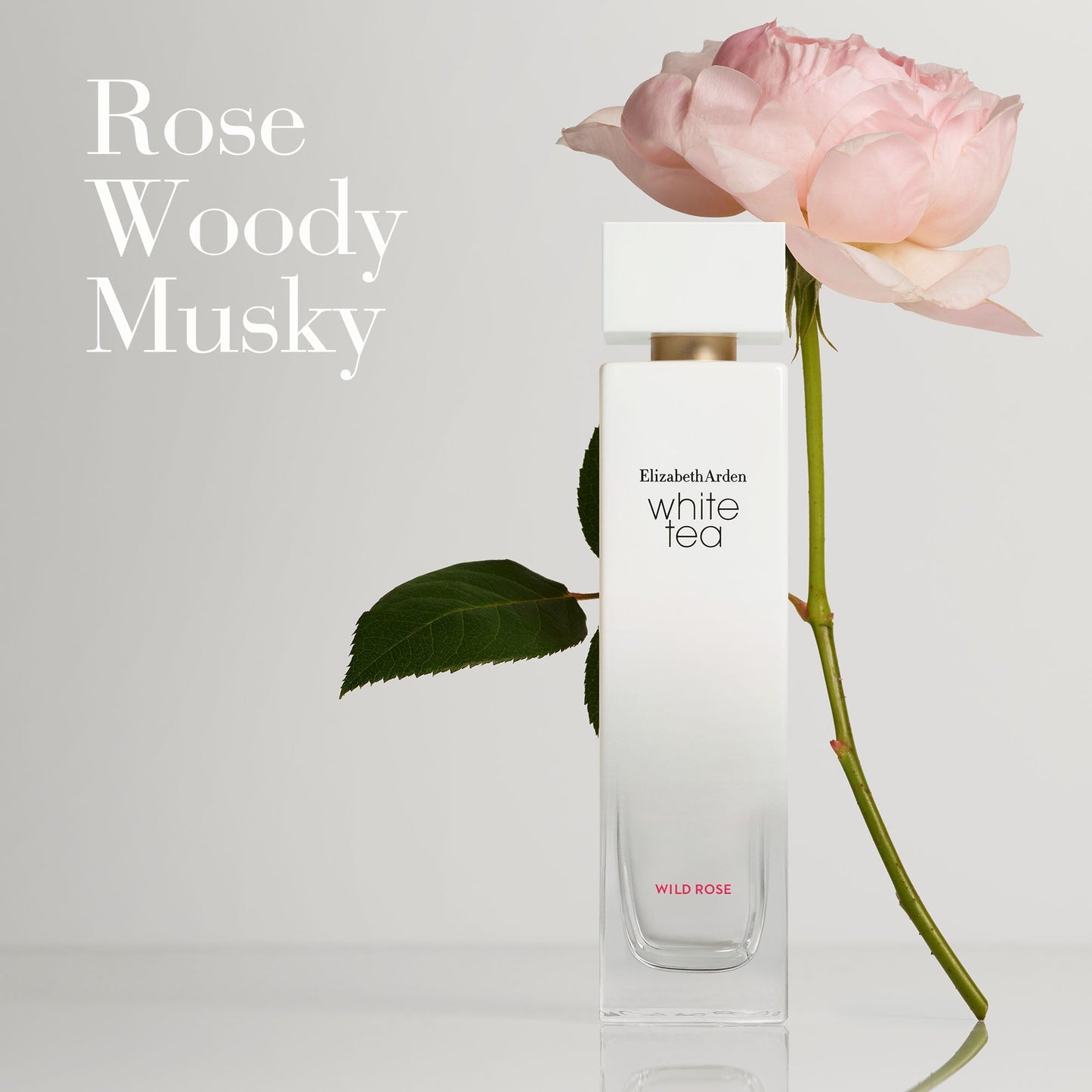 Elizabeth Arden White Tea Wild Rose EDT 100ml