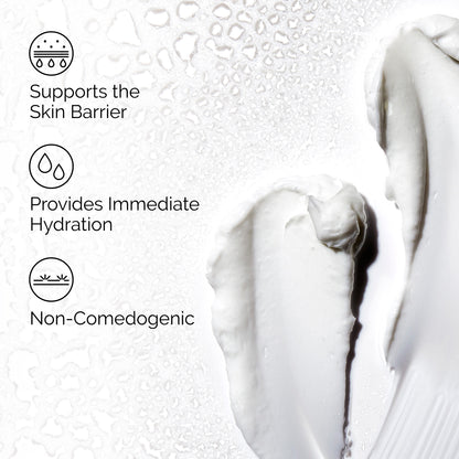 The Ordinary Natural Moisturizing Factors + HA 30ml