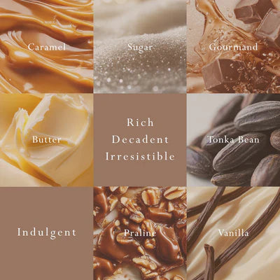 MOR Emporium Classics Creme Caramel Car Diffuser - Fragrance Disc Refill