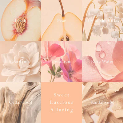 MOR Emporium Classics Peach Delight Car Diffuser - Fragrance Disc Refill
