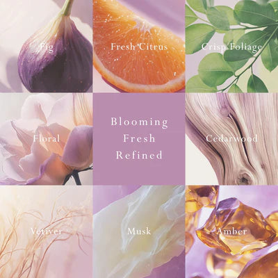 MOR Emporium Classics Primavera Fig Car Diffuser - Fragrance Disc Refill