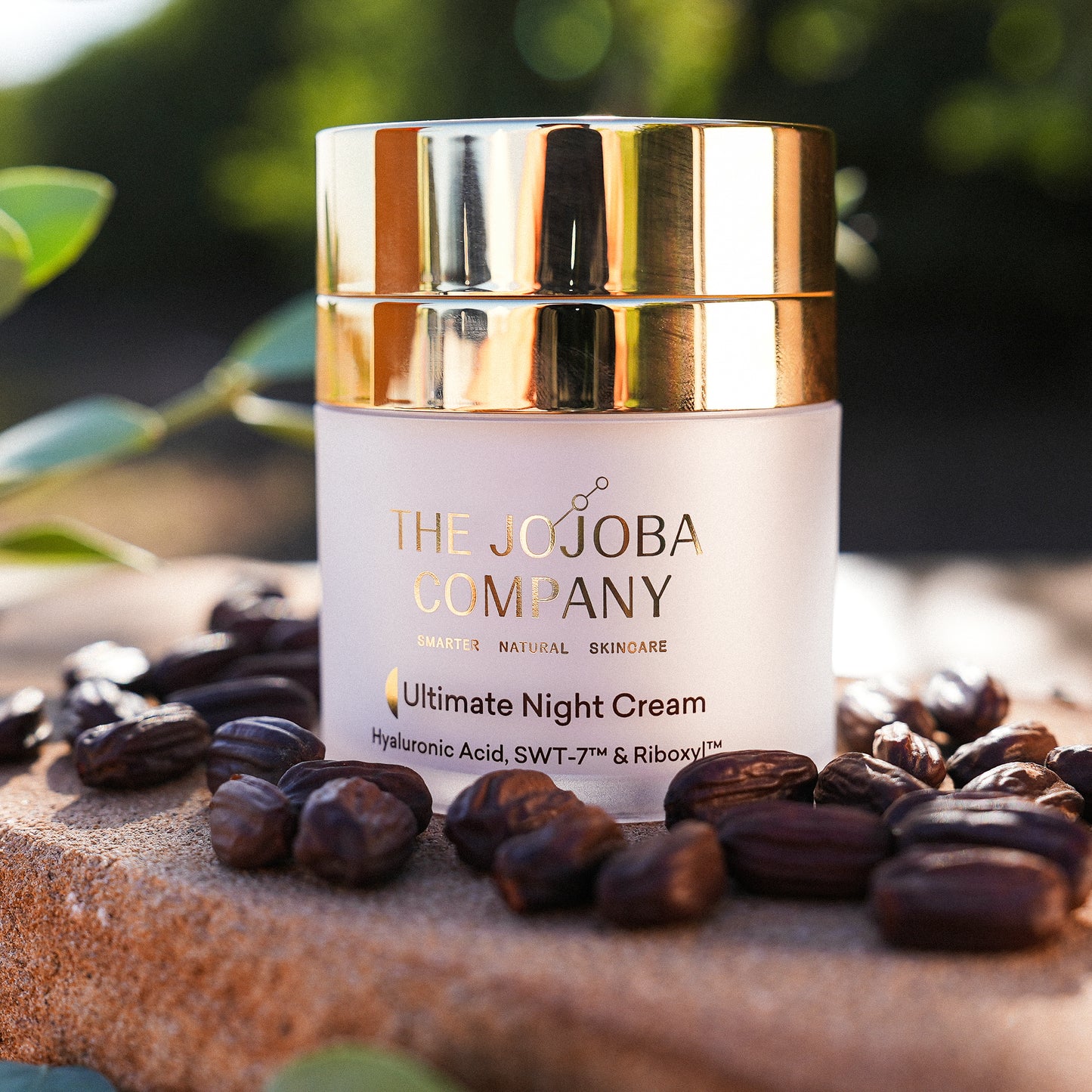 The Jojoba Company Ultimate Night Cream 50ml