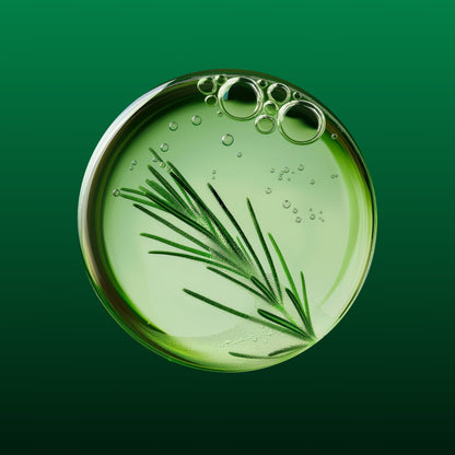 Weleda Skin Food Lip Stick 4.8g