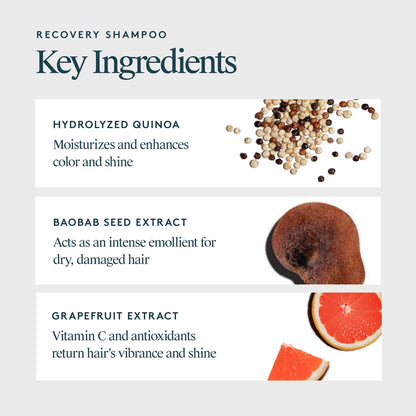 Virtue Recovery Shampoo 240ml