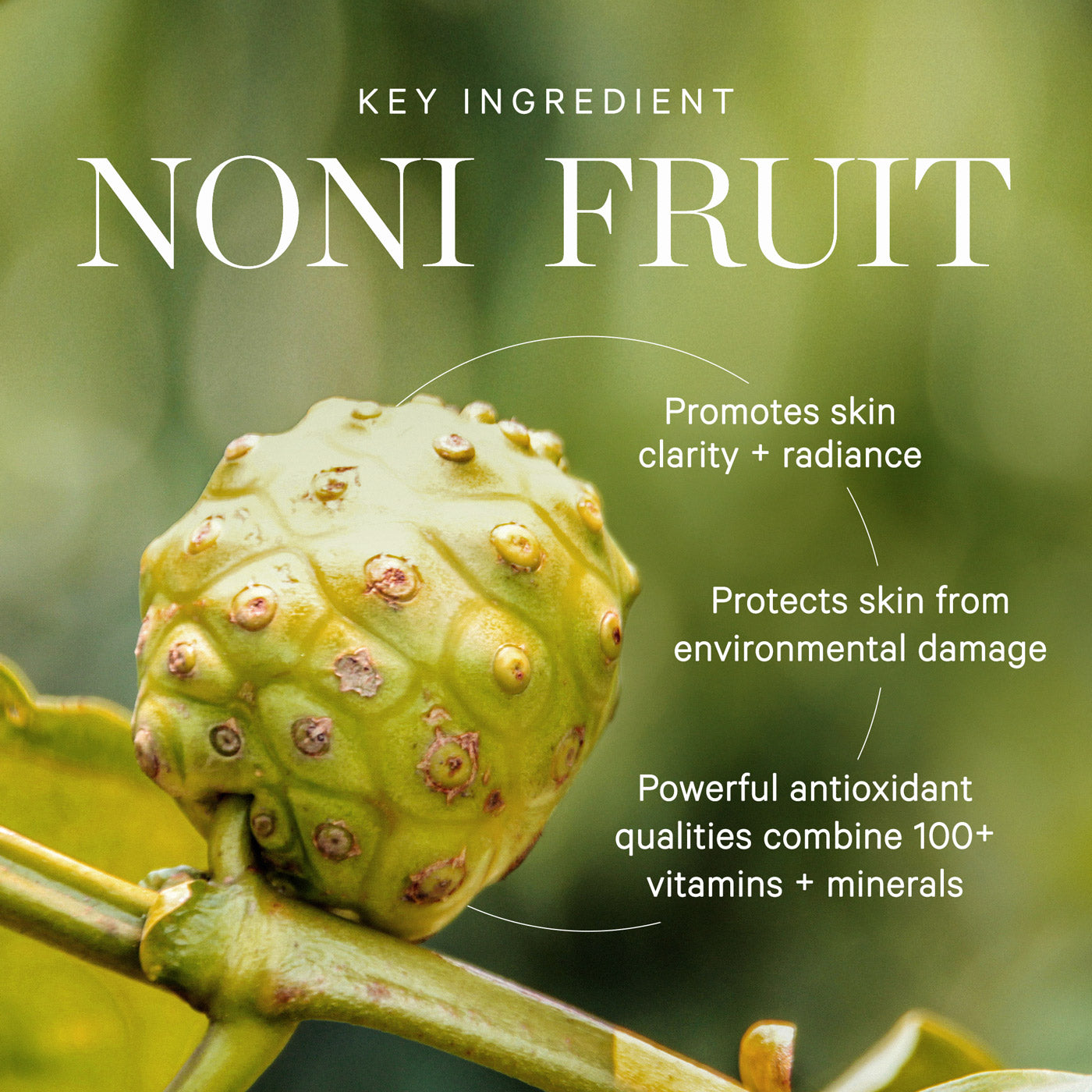 KORA Organics Noni Glow Face Oil 30ml