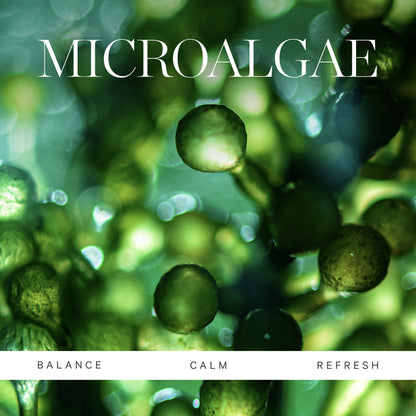 KORA Organics Active Algae Minty Mist 100mL