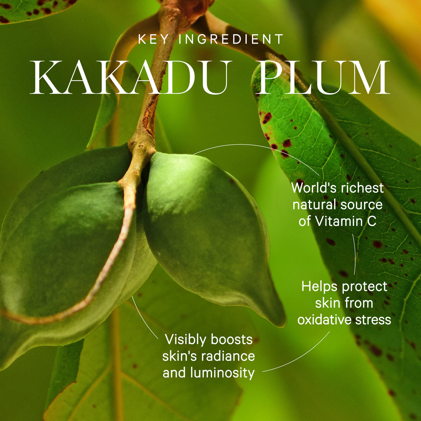 KORA Organics Kakadu Plum Vitamin C Serum 10ml