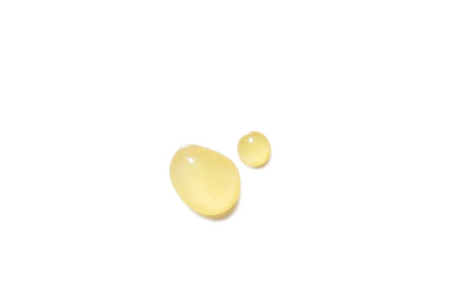 Dr. Hauschka Regenerating Intensive Day Cream 40ml 