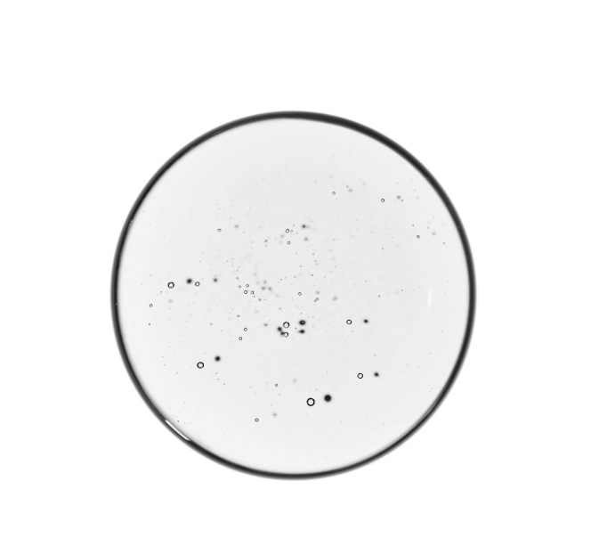 The Ordinary Volufiline 92% + Pal-Isoleucine 1% 15ml