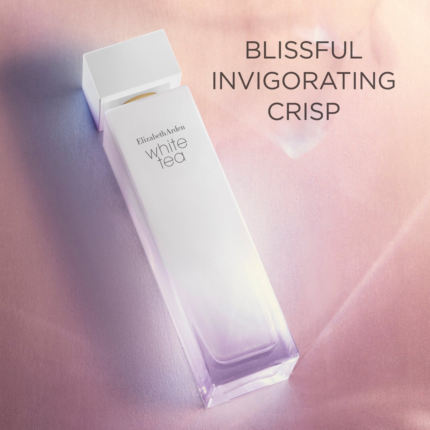 Elizabeth Arden White Tea EDT 100ml