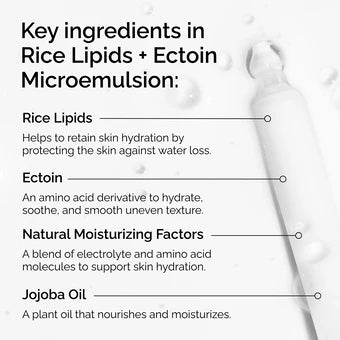 The Ordinary Rice Lipids + Ectoin Microemulsion 60ml