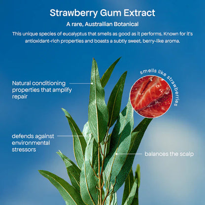 Bondi Boost Strawberry Gum HG Miracle Hair Mask 250ml
